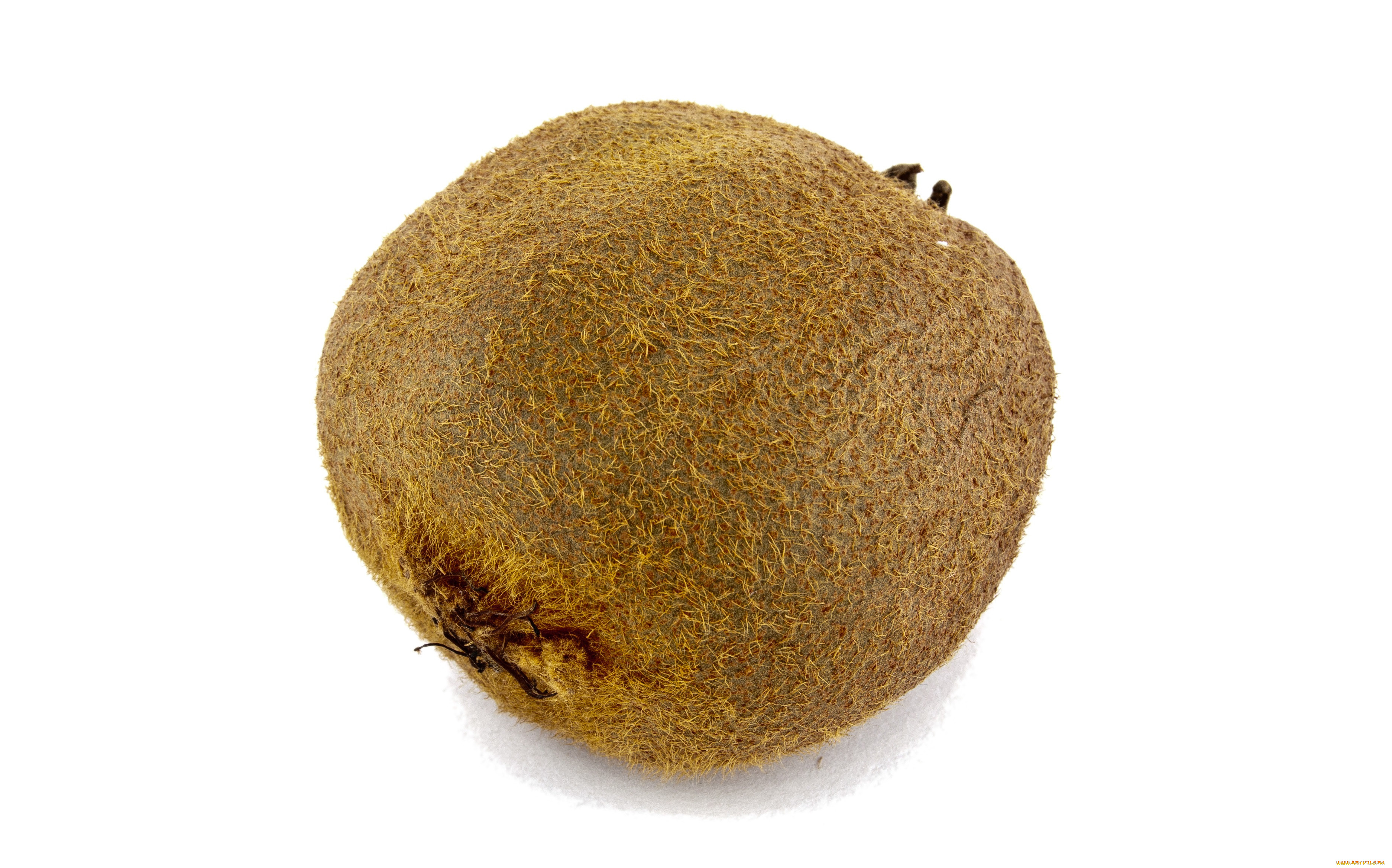 , 